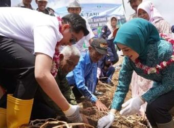 FB_IMG_1675931388081