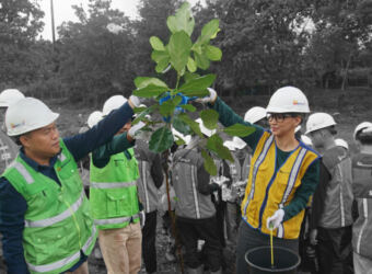 Cover Green Mining