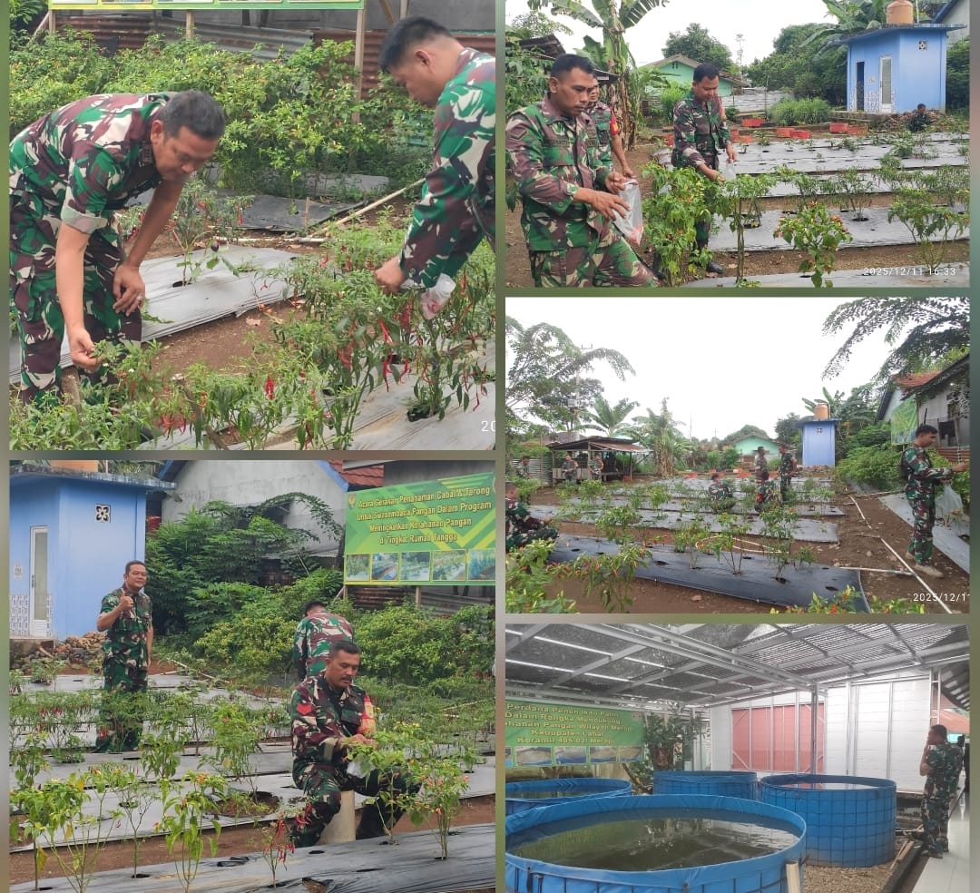 IMG-20251212-WA0053 IMG-20251212-WA0053