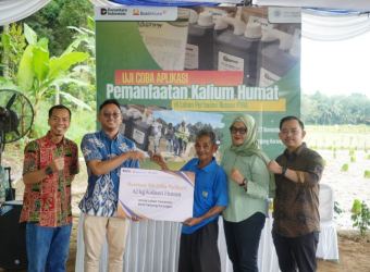 Screenshot_2025-12-11-11-54-29-771_com.whatsapp-edit