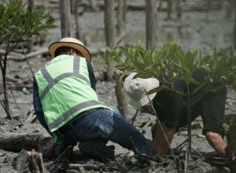 Screenshot_2025-12-19-19-59-11-314_com.whatsapp-edit