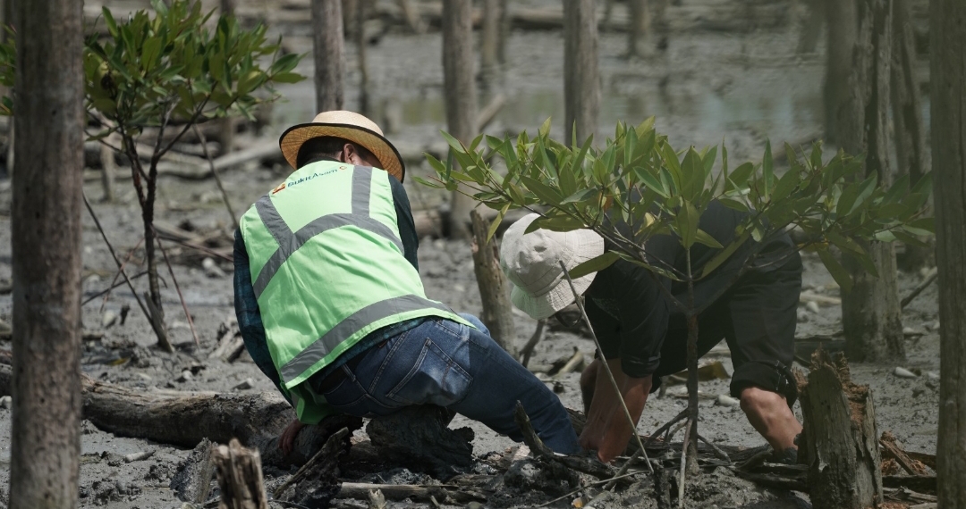 Screenshot_2025-12-19-19-59-11-314_com.whatsapp-edit